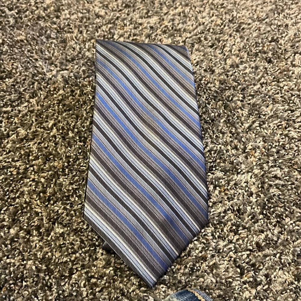 Campia Moda 100% silk pinstriped tie